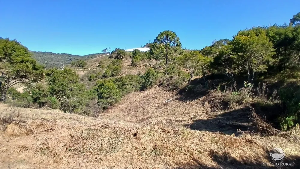 Chácara, 2 hectares - Foto 7