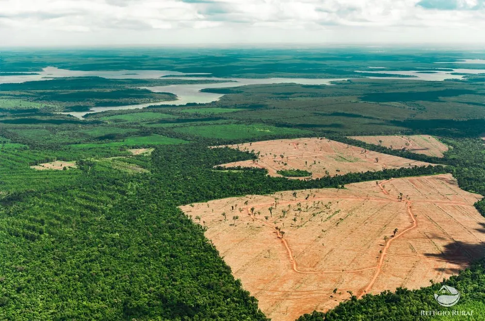Fazenda, 2500 hectares - Foto 4