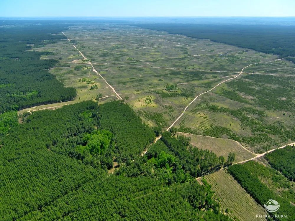 Fazenda, 2500 hectares - Foto 2