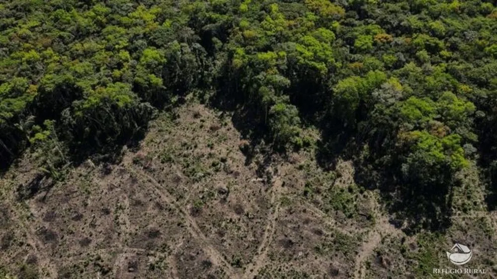 Fazenda, 2500 hectares - Foto 1