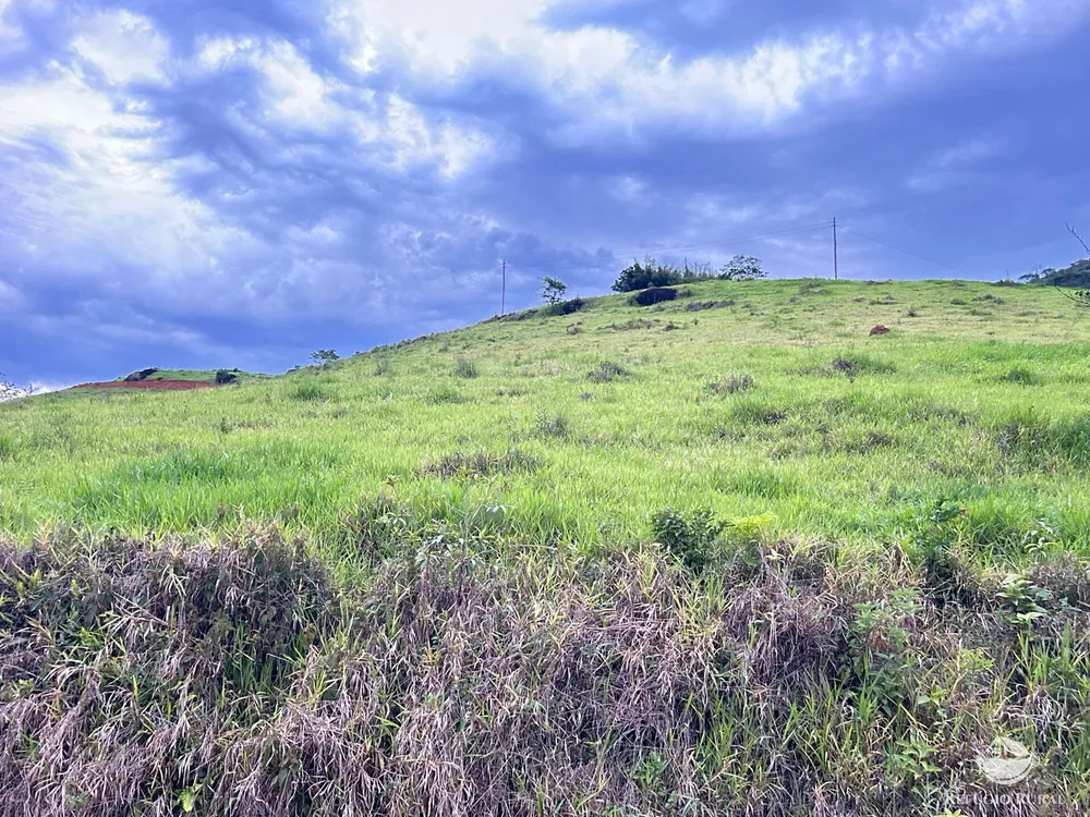 Terreno, 2 hectares - Foto 9