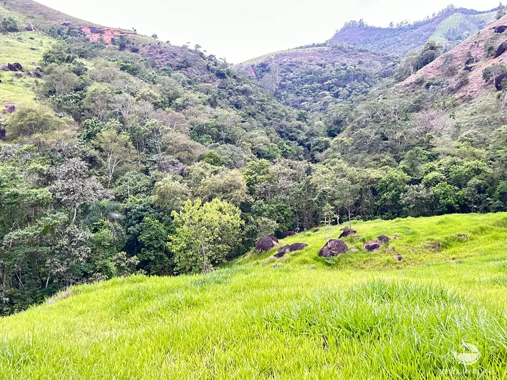 Terreno, 2 hectares - Foto 12