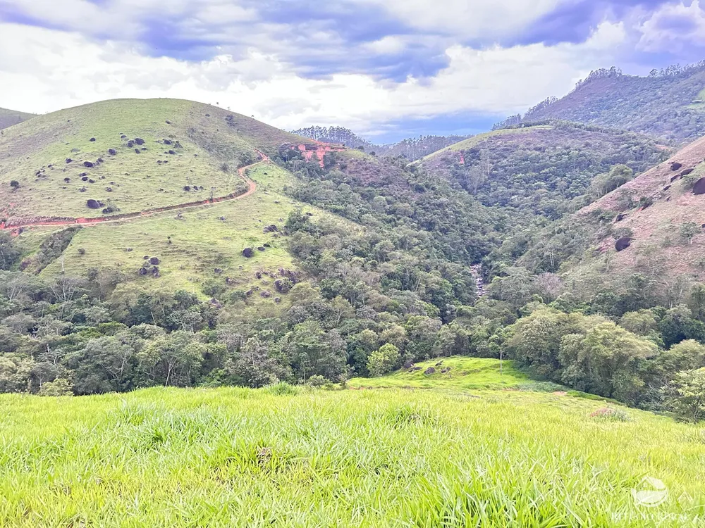 Terreno, 2 hectares - Foto 6