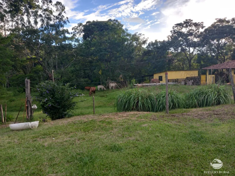 Fazenda, 145 hectares - Foto 10