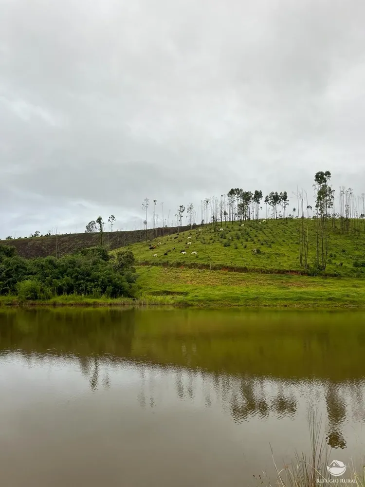 Fazenda, 145 hectares - Foto 16