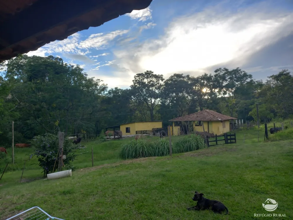 Fazenda, 145 hectares - Foto 15