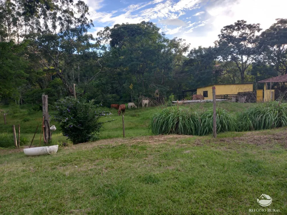 Fazenda, 145 hectares - Foto 12