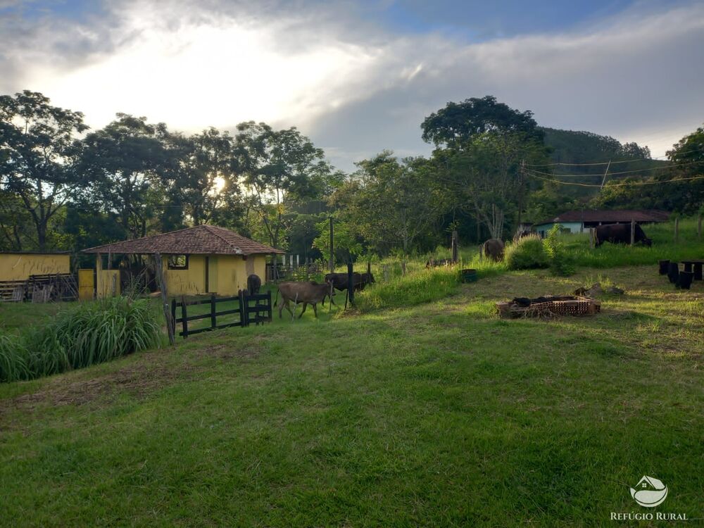 Fazenda à venda com 6 quartos, 1452000m² - Foto 4