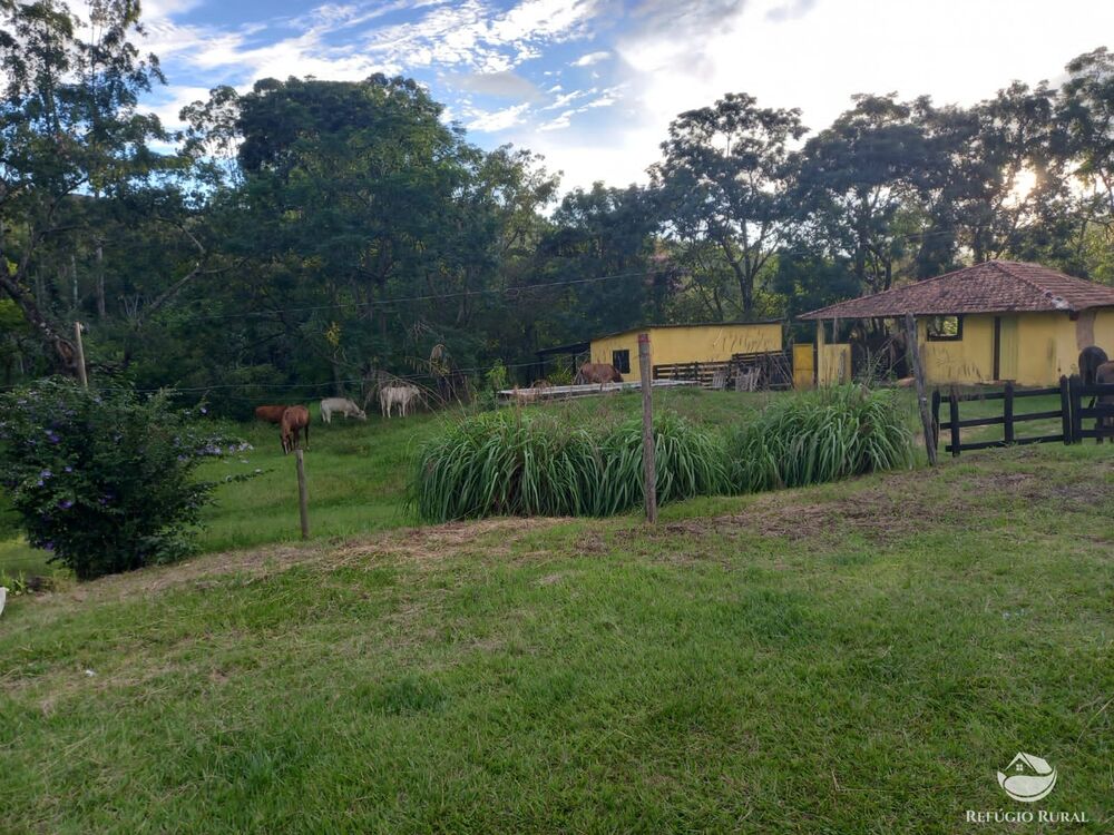 Fazenda à venda com 6 quartos, 1452000m² - Foto 3