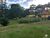 Fazenda-Sítio-Chácara, 145 hectares - Foto 3