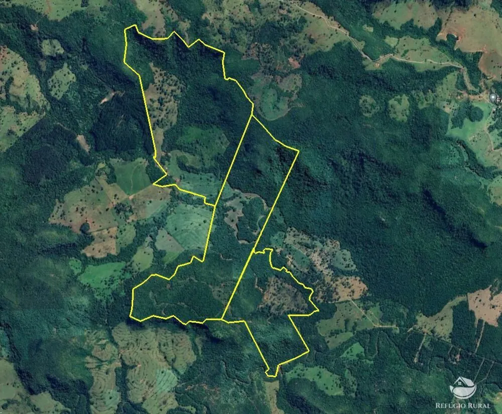 Fazenda, 303 hectares - Foto 8