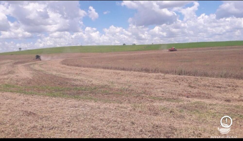 Fazenda, 61 hectares - Foto 5