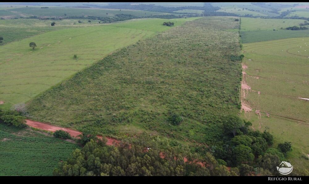 Fazenda, 61 hectares - Foto 9