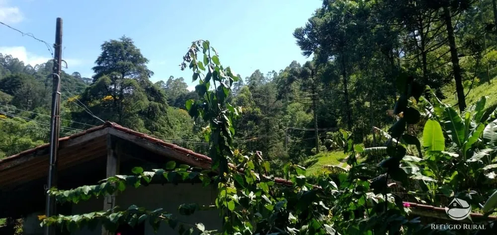 Chácara, 900 m² - Foto 5