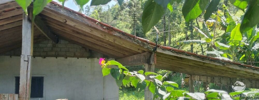 Chácara à venda com 3 quartos, 900m² - Foto 4