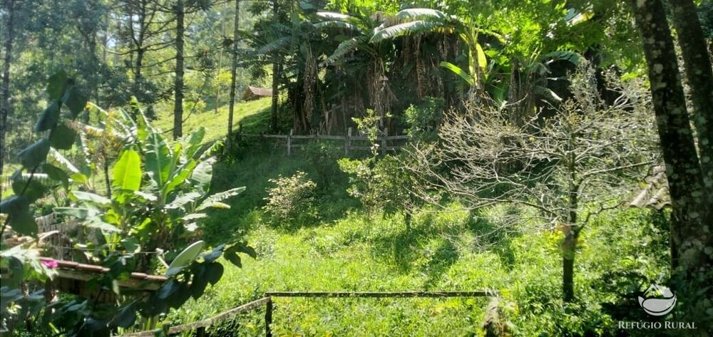 Chácara à venda com 3 quartos, 900m² - Foto 3