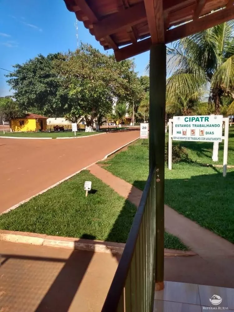 Fazenda, 33000 hectares - Foto 3