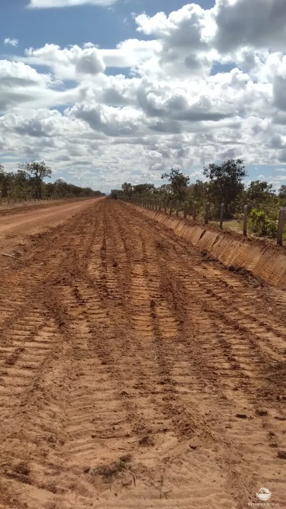 Fazenda, 1717 hectares - Foto 12