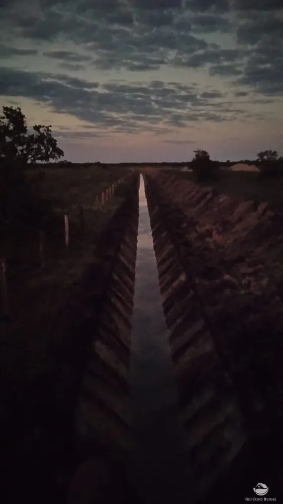 Fazenda, 1717 hectares - Foto 10