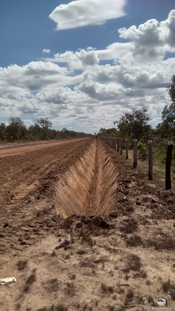 Fazenda, 1717 hectares - Foto 7