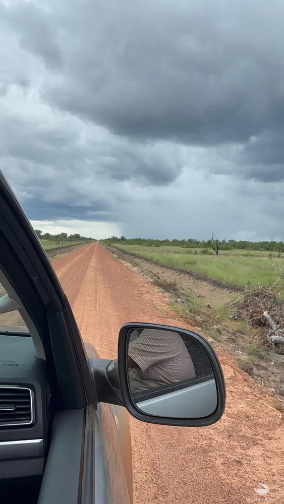 Fazenda, 1717 hectares - Foto 14