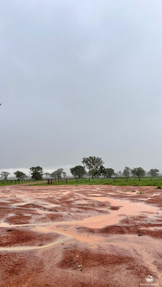 Fazenda à venda com 6 quartos, 17170000m² - Foto 2