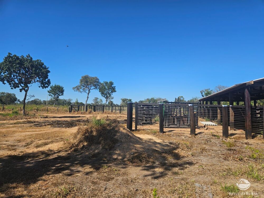 Fazenda à venda com 6 quartos, 17170000m² - Foto 1
