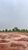 Fazenda-Sítio-Chácara, 1717 hectares - Foto 2