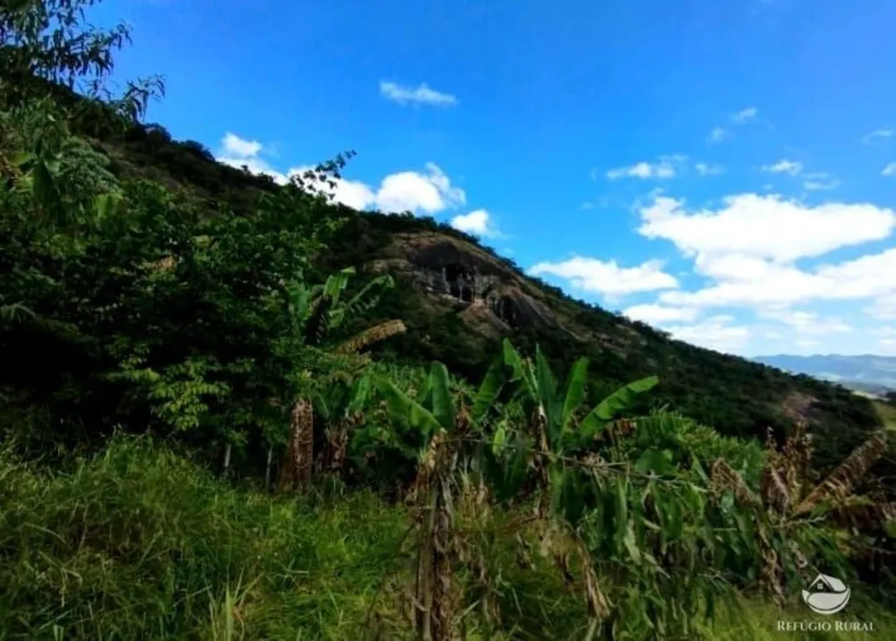 Sítio, 102 hectares - Foto 12