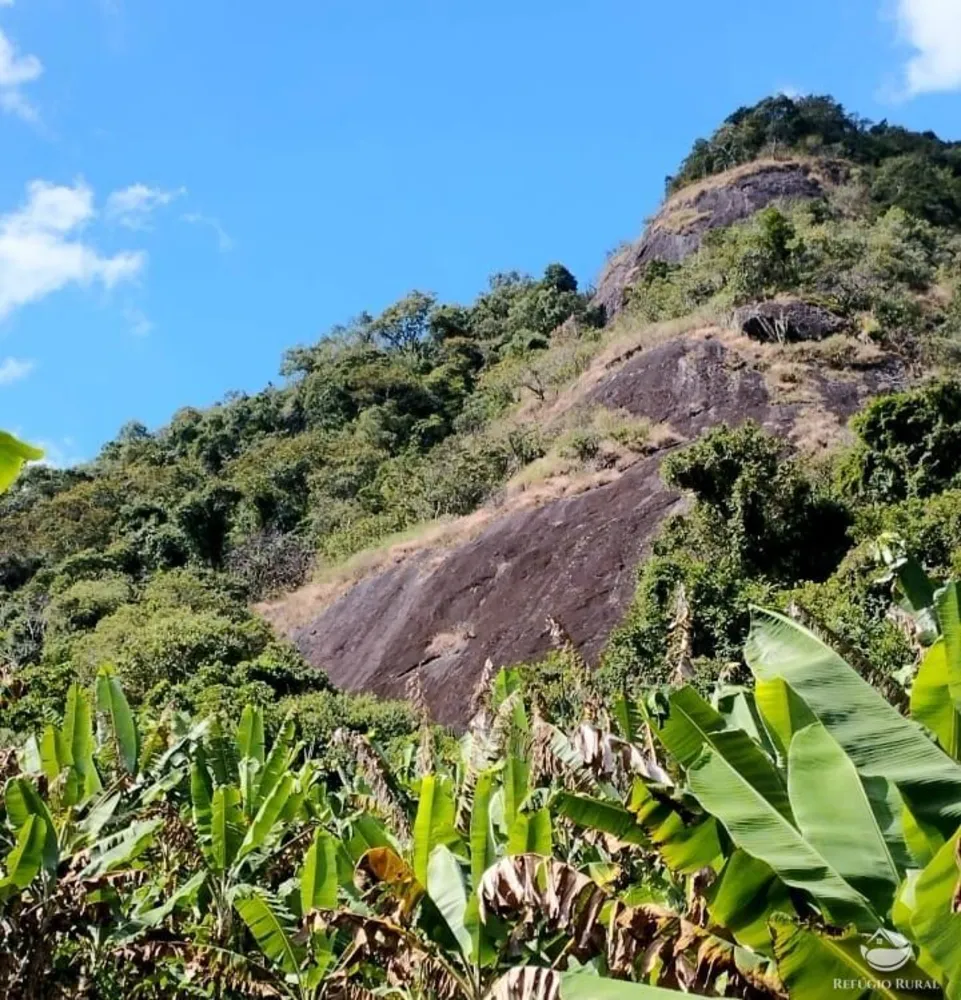 Sítio, 102 hectares - Foto 4