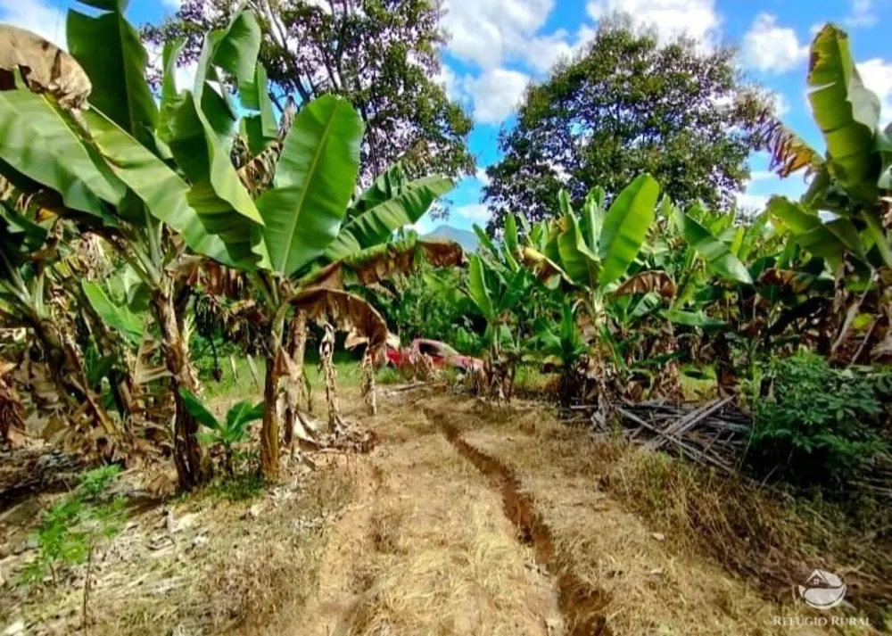 Sítio, 102 hectares - Foto 15