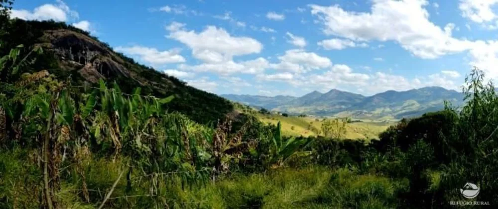 Sítio, 102 hectares - Foto 3