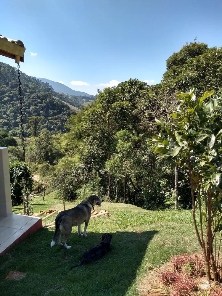 Chácara, 2 quartos, 2 hectares - Foto 11