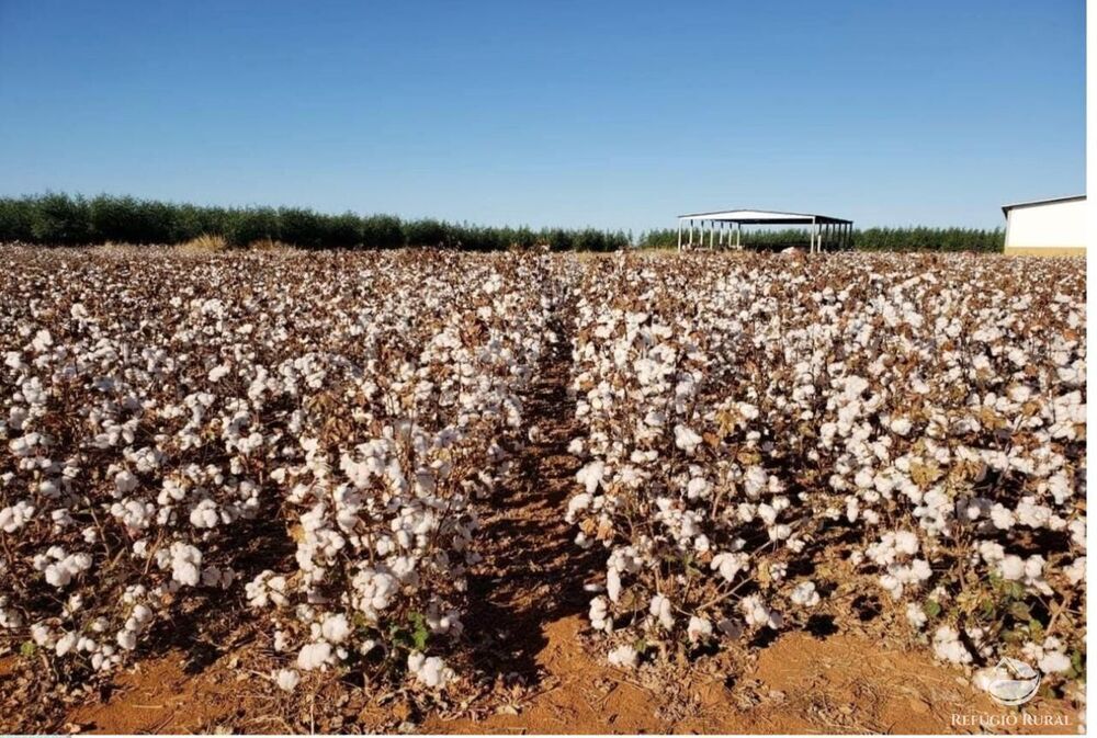 Fazenda à venda com 5 quartos, 178970000m² - Foto 1