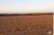 Fazenda-Sítio-Chácara, 17897 hectares - Foto 4