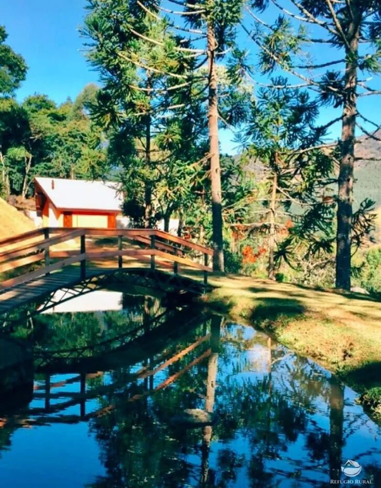 Chácara, 1 hectares - Foto 4