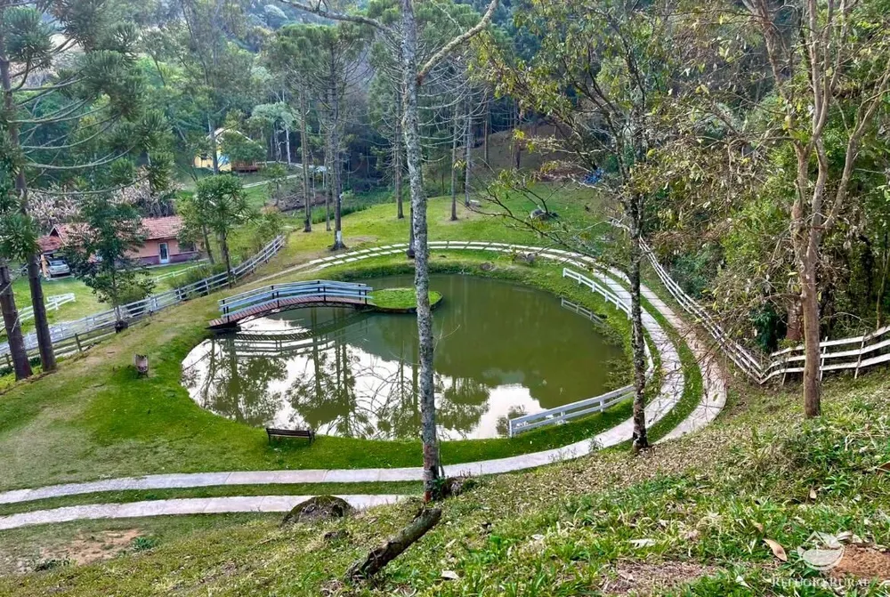 Chácara, 1 hectares - Foto 11