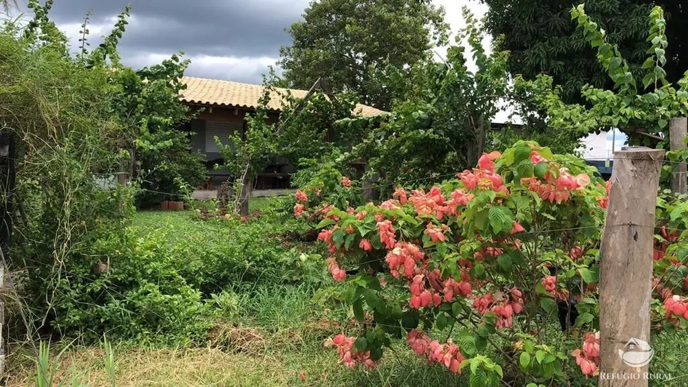 Fazenda, 4381 hectares - Foto 3