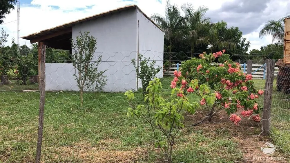 Fazenda, 4381 hectares - Foto 2