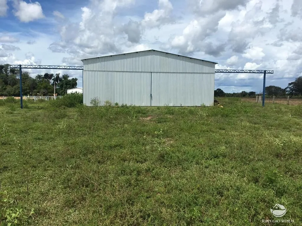 Fazenda, 4381 hectares - Foto 6