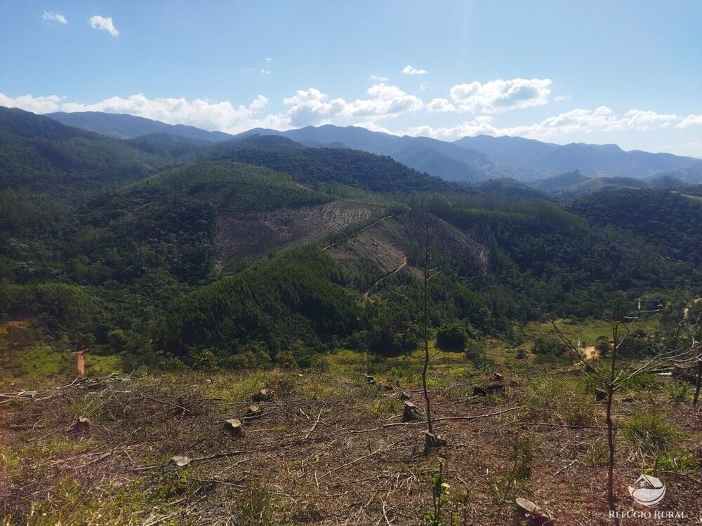 Terreno, 4 hectares - Foto 6