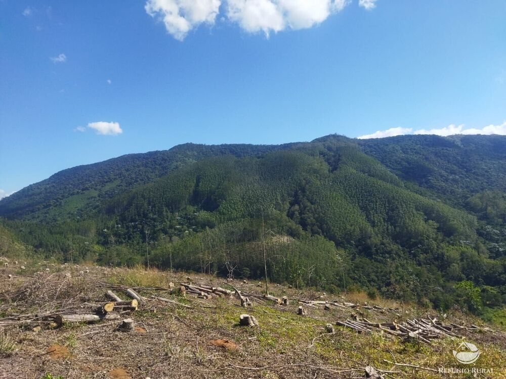 Terreno, 4 hectares - Foto 10