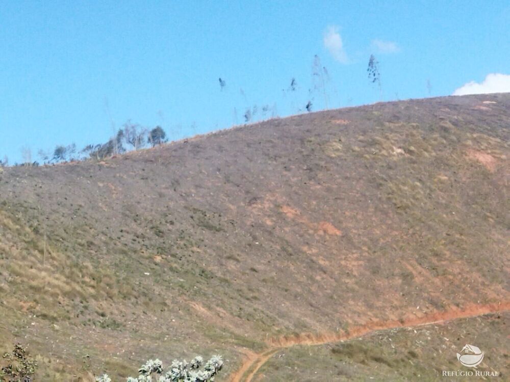 Terreno, 4 hectares - Foto 18