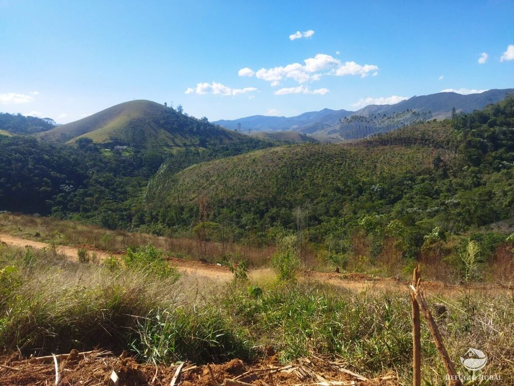 Terreno, 4 hectares - Foto 3