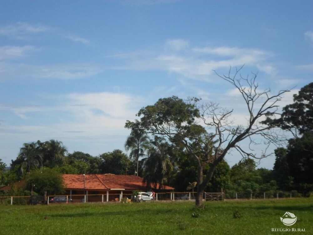 Sítio, 6 hectares - Foto 1