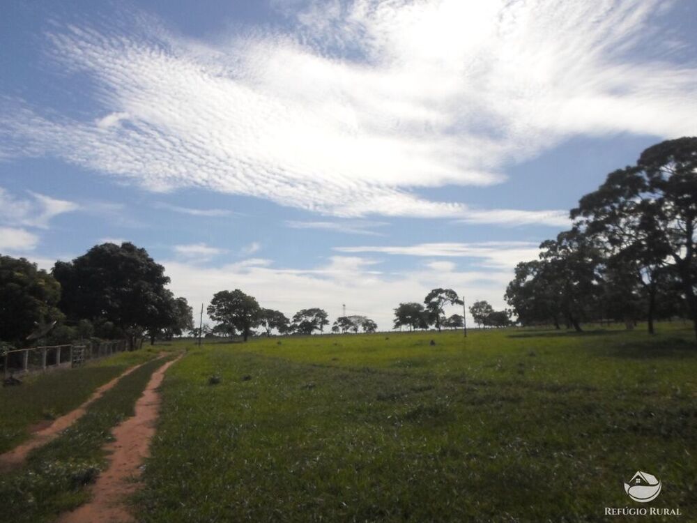 Sítio, 6 hectares - Foto 2