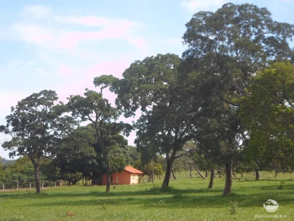 Sítio, 6 hectares - Foto 4