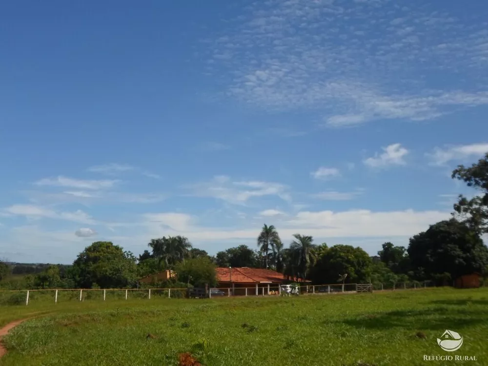 Sítio, 6 hectares - Foto 5