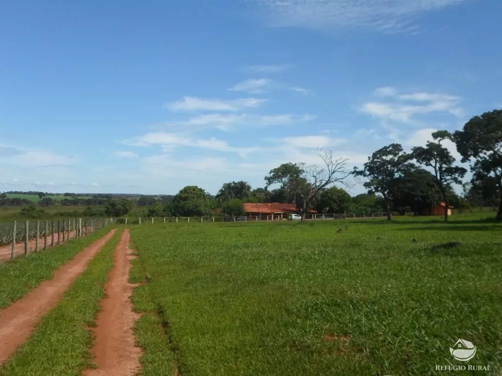 Sítio, 6 hectares - Foto 3