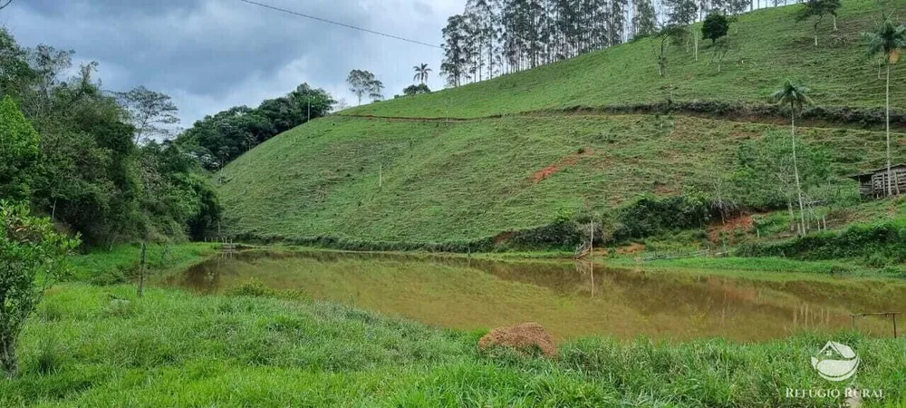 Sítio, 7 hectares - Foto 9
